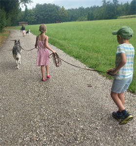 Ein Junge und ein Mädchen gehen mit einem Hund auf einem Weg in einem Park spazieren
