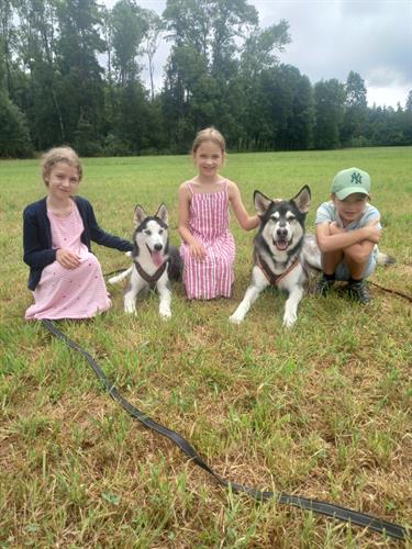 Kinder und Hunde auf einem Feld