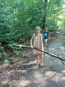 Eine Gruppe von Kindern, die auf einem Pfad im Wald spazieren gehen